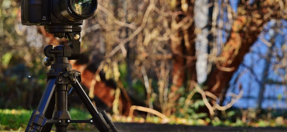 cheap camera tripod
